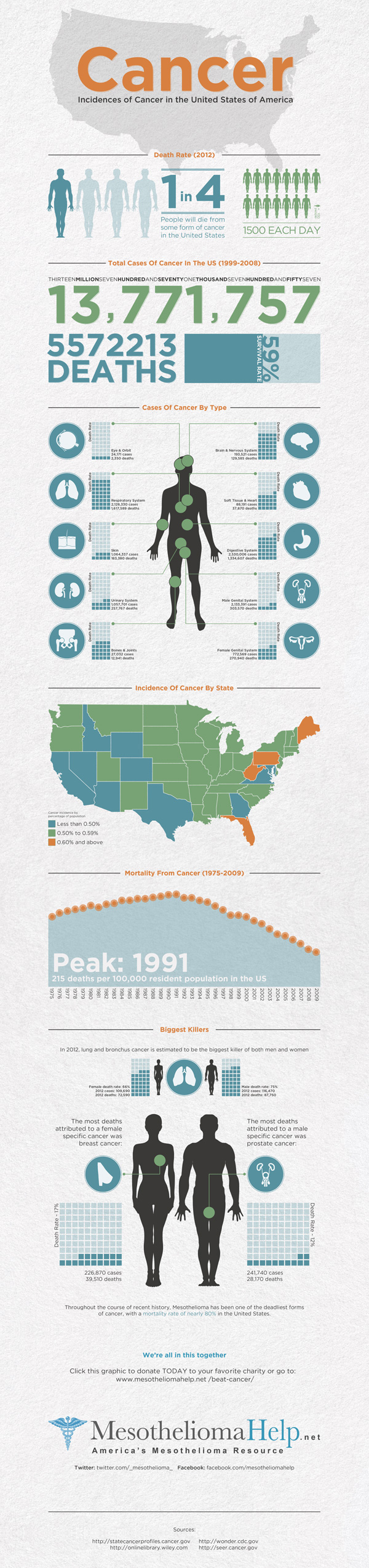 Cancer in the USA infographic