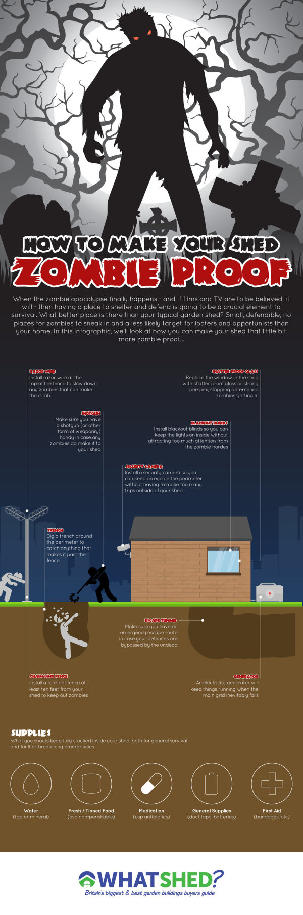 How to Make Your Shed Zombie Proof infographic