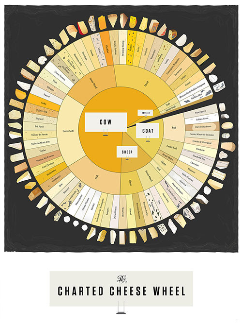 The Charted Cheese Wheel infographic