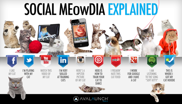 Social Media Explained Cat infographic