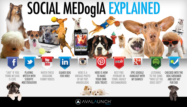 Social Media Explained Dog infographic