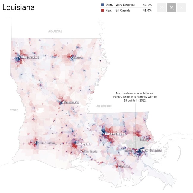 The Most Detailed Maps from the Midterm Elections Louisiana Infographic