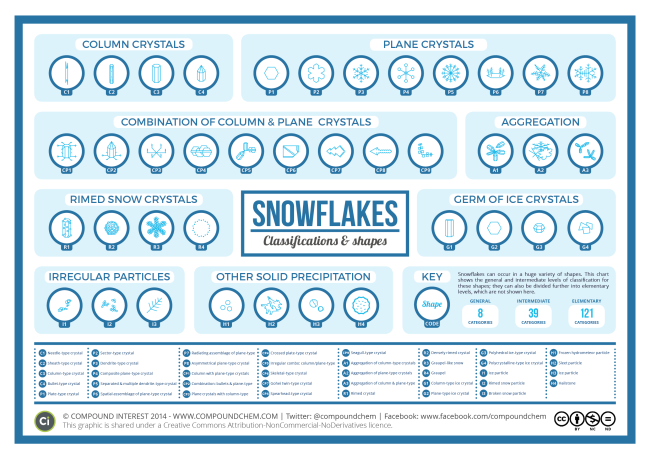 The Shapes of Snowflakes infographic