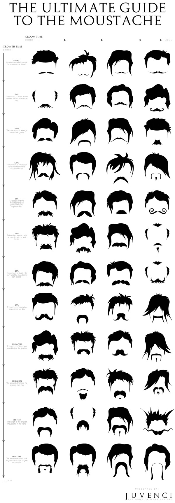 The Ultimate Guide to the Moustache infographic
