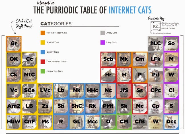 The Interactive Purriodic Table of Internet Cats infographic