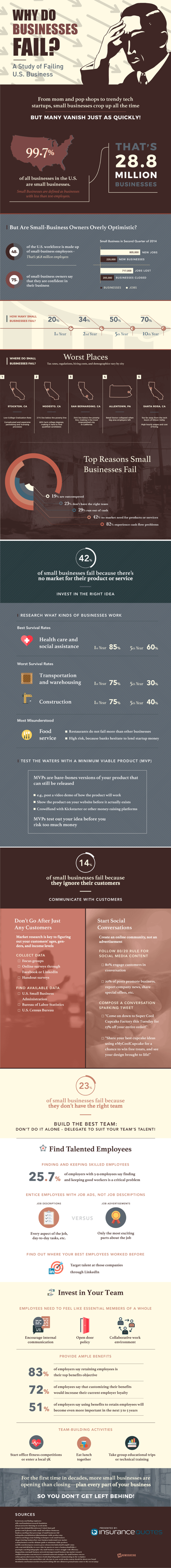 Why Do Businesses Fail? infographic