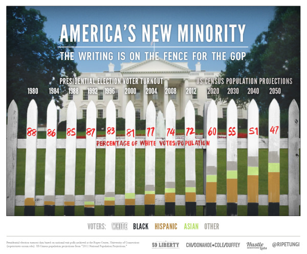 America's New Minority infographic