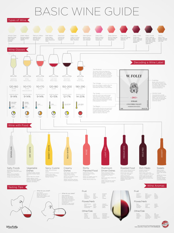 Basic Wine Guide infographic