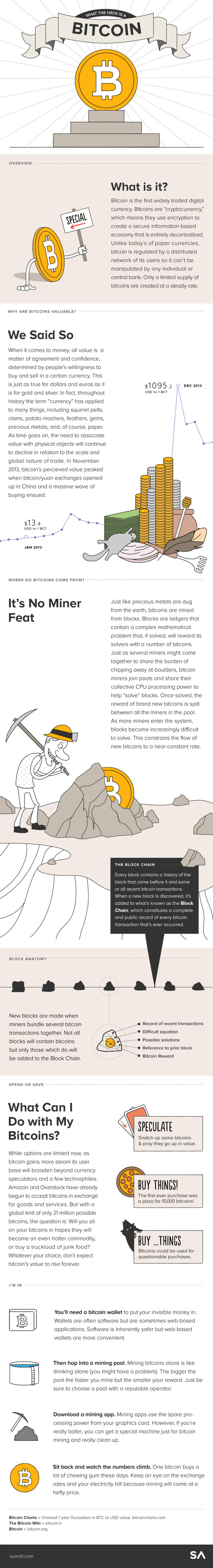 What the Heck is a Bitcoin infographic