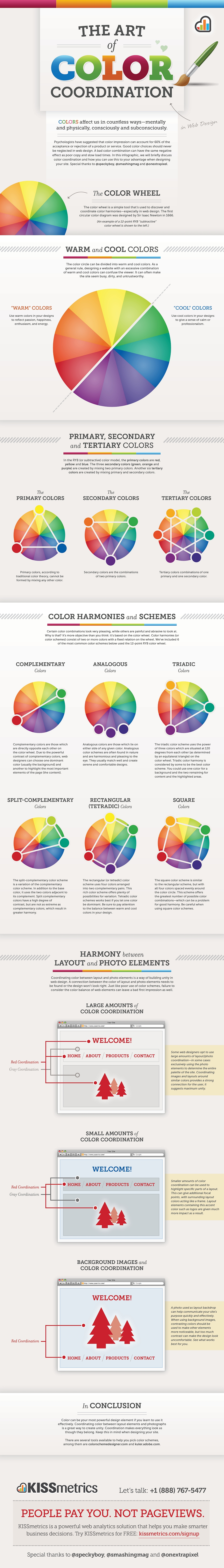 The Art of Color Coordination infographic