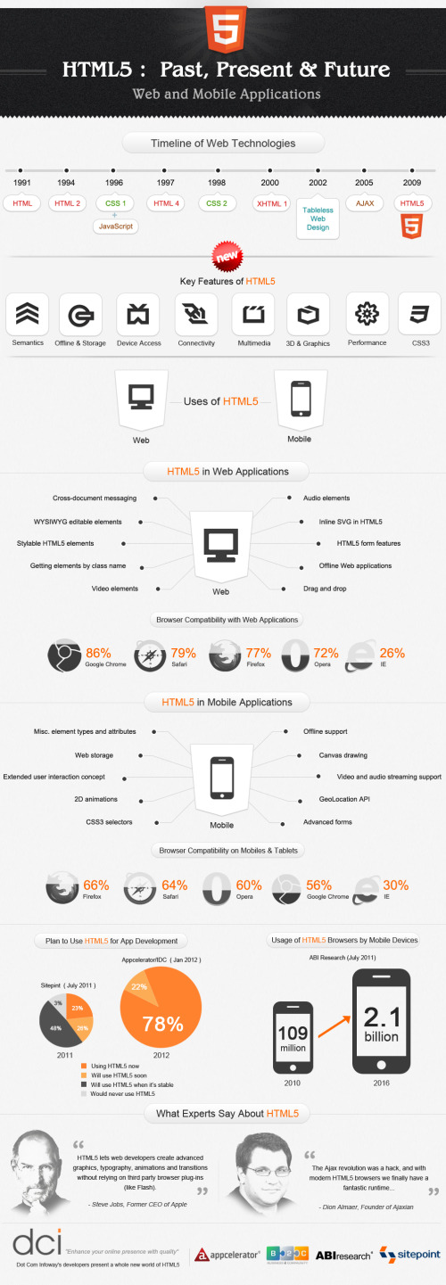 HTML5: Past, Present, Future infographic