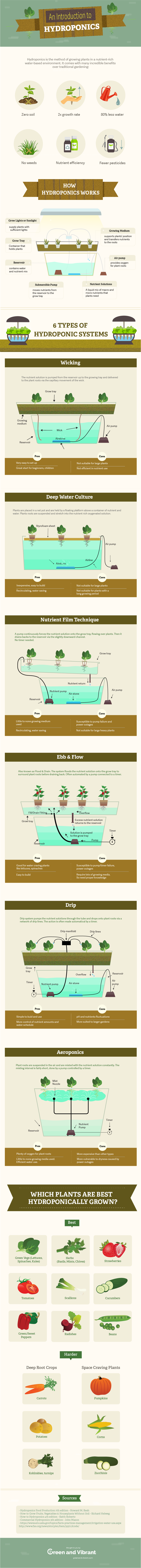 An Introduction to Hydroponics infographic