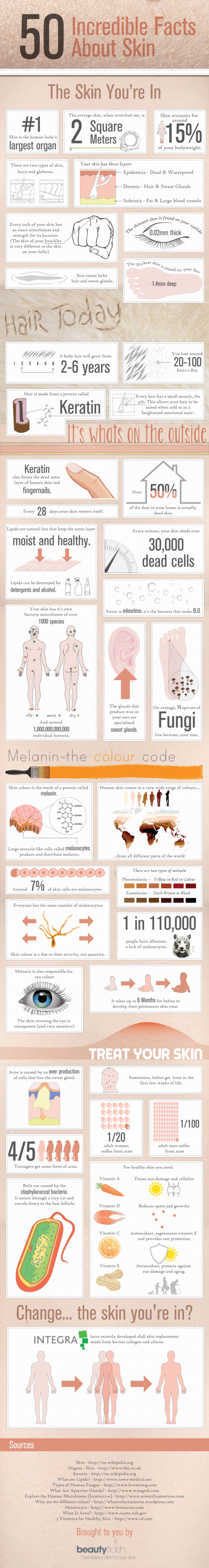 50 Incredible Facts About Skin infographic